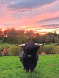 Photo 04-11-2021, 19 03 50