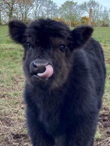 Photo 07-05-2022, 20 00 02