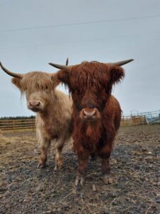 Photo 07-06-2022, 10 43 42