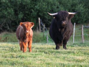 Photo 11-08-2021, 21 56 12