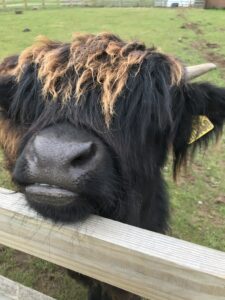 Photo 13-05-2021, 17 52 28