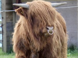 Photo 18-04-2022, 13 41 53