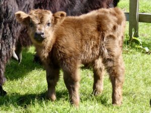 Photo 28-05-2022, 15 25 56